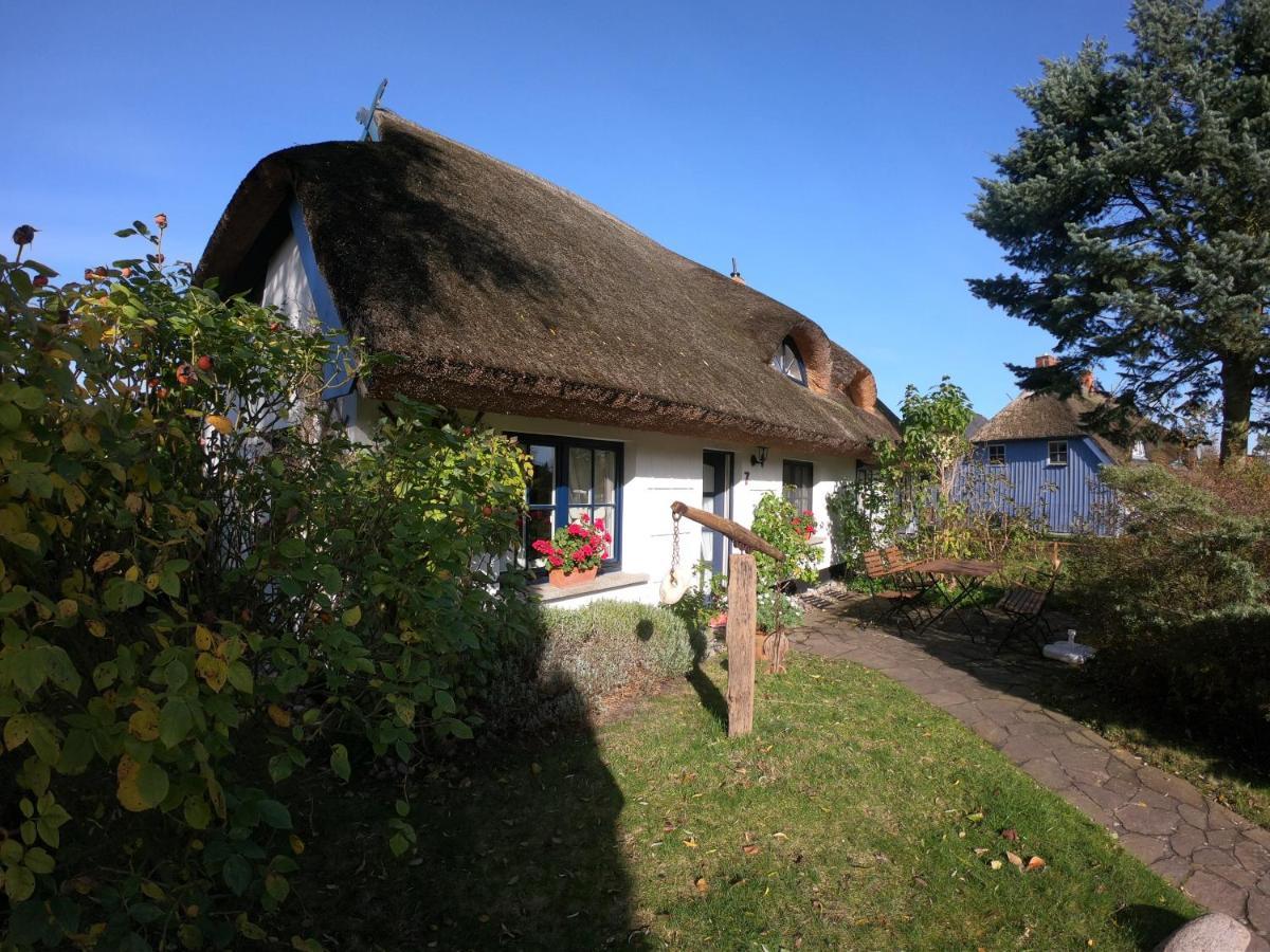 Landhaus Darss Wieck Ngoại thất bức ảnh