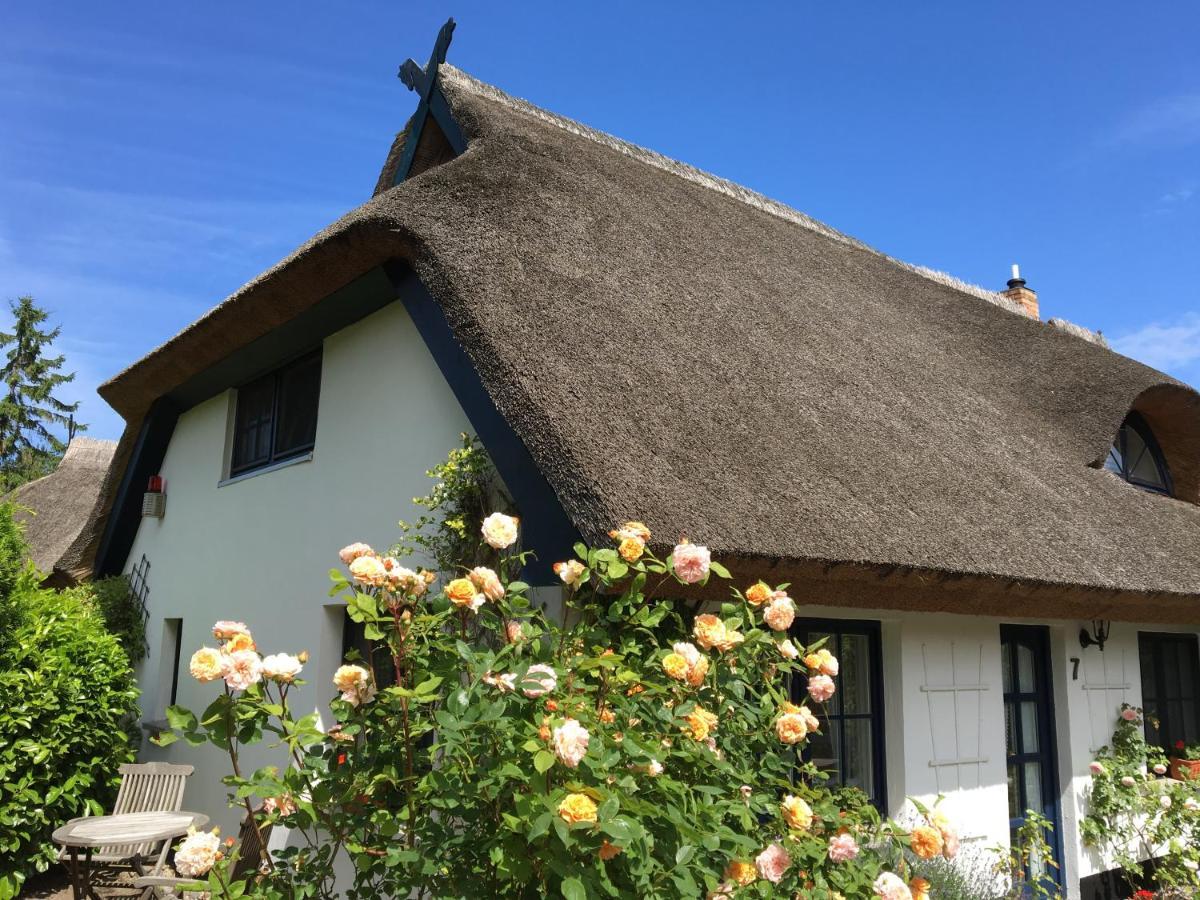Landhaus Darss Wieck Ngoại thất bức ảnh